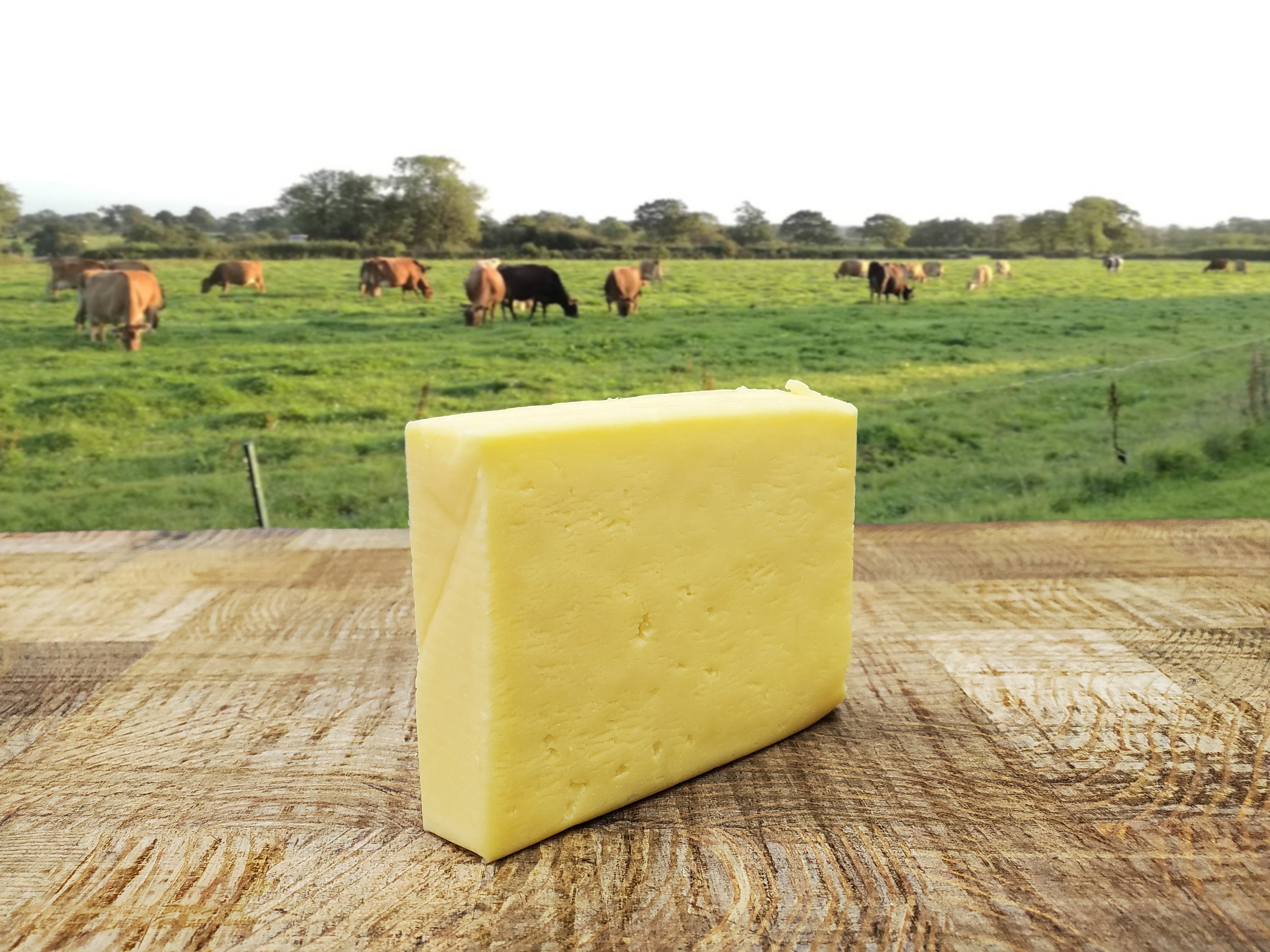 Cliftons Farm Cheese - Soft and Buttery
