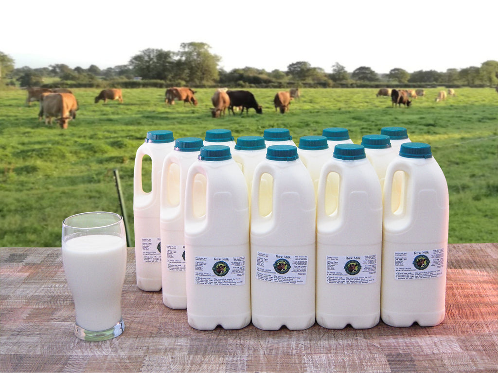 13 bottles of raw milk (26 pints / 14.77 litres)