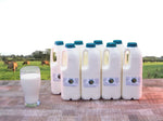 8 bottles of raw milk (16 pints / 9.09 litres)